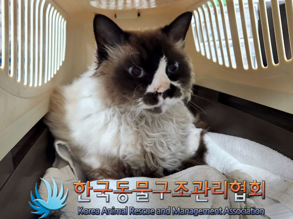 한국동물구조관리협회_441559202301116